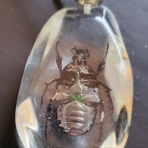 (2 pcs)Real beetle/ spider in resin pendants with 10" adjustable twine..2 pieces